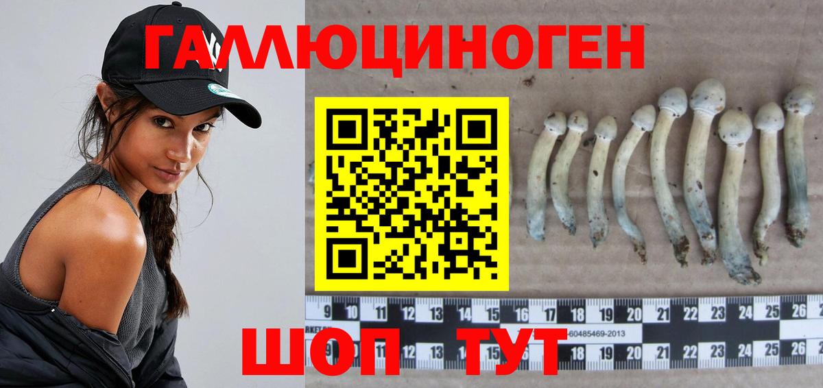 Псилоцибиновые грибы GOLDEN TEACHER  Вход с VPN  Дубна 